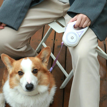 Dog Leash With Lights