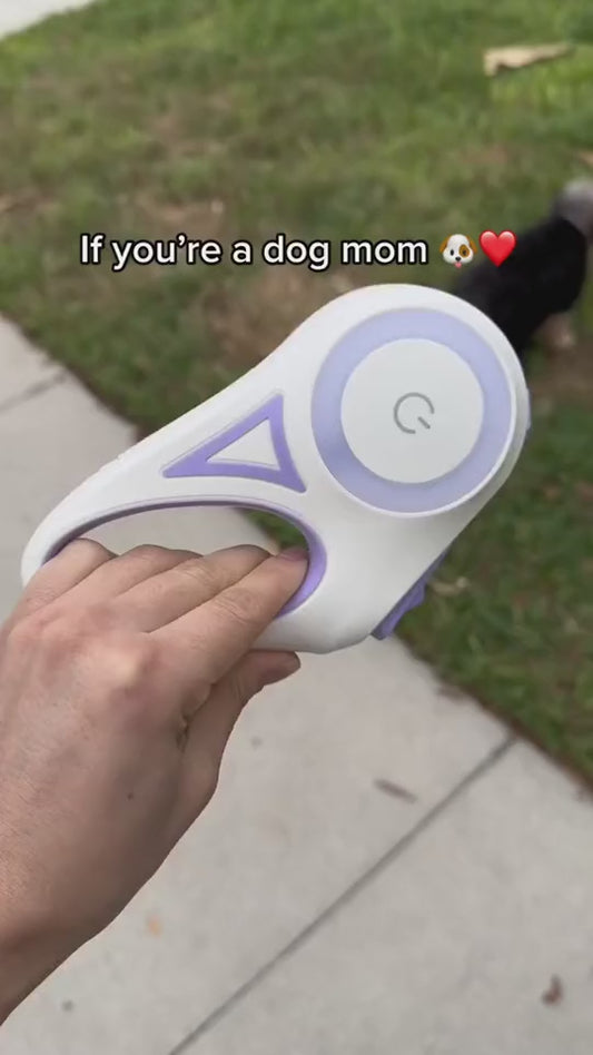 Dog Leash With Lights